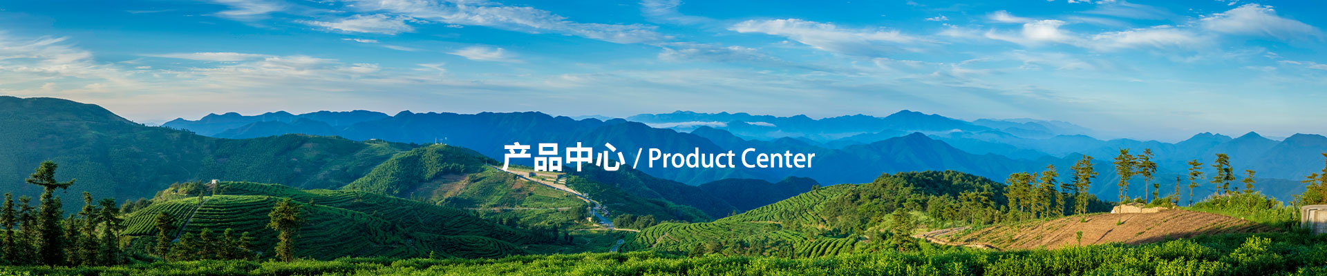 爱游戏官网下载